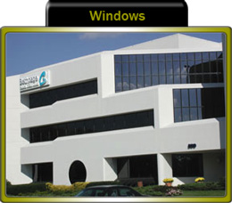 Window Systems